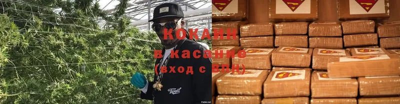 цена наркотик  Богородск  Cocaine Columbia 