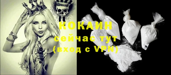 твердый Осташков