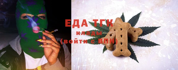 гашик Осинники