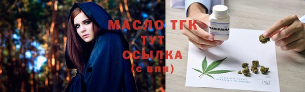 гашик Осинники