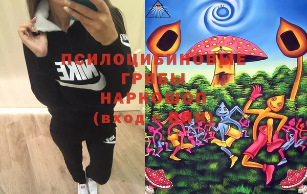 не бодяженный Нязепетровск