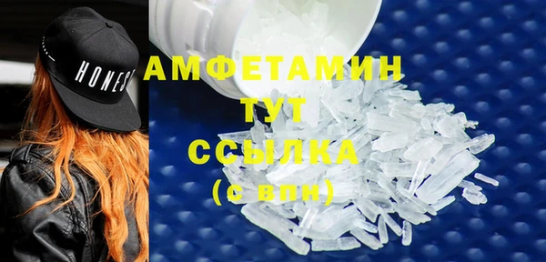 гашик Осинники