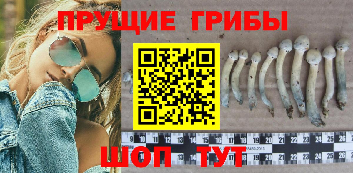 Псилоцибиновые грибы Psilocybine cubensis  Вход с VPN  Богородск  Псилоцибиновые грибы GOLDEN TEACHER 